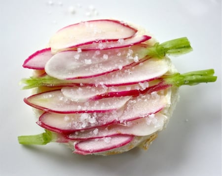 بذور فجل الإفطار الفرنسي - French Breakfast Radish Seeds