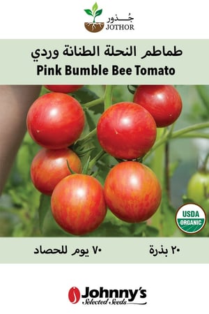 بذور طماطم النحلة الطنانة وردي عضوي - Pink Bumble Bee Tomato Seeds