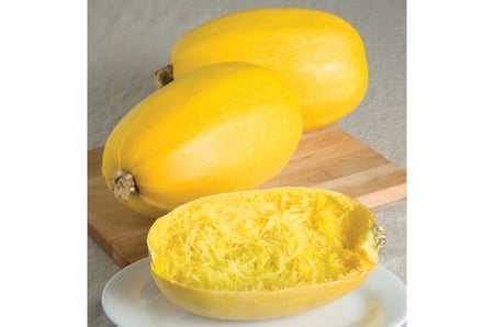 بذور قرع سباغيتي - Spaghetti Squash Seeds