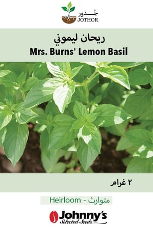 بذور ريحان ليموني - Mrs. Burns' Lemon Basil Seeds