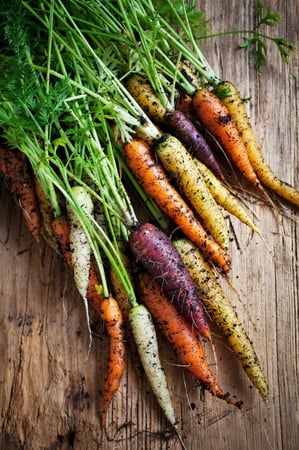 بذور جزر ملون - Carrot Rainbow Blend Seeds