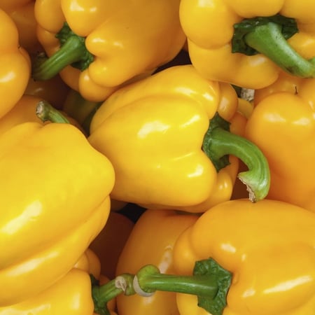 فلفل أصفر بارد - Pepper Sweet (ylw) Golden Seeds