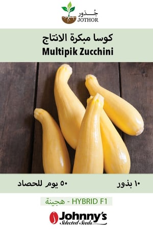 بذور كوسا مبكرة الانتاج - Multipik Zucchini Squash Seeds