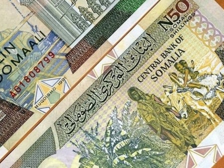 الصومال فئة 50 شلن أنسر