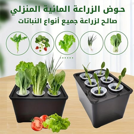 مركن زراعة مائية منزلي 6 فتحات لزراعة الخضراوات