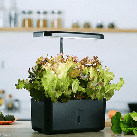جهاز زراعة مائية منزلية, جهاز زراعة منزلي, جهاز الزراعة المائية أسود