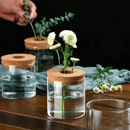 أحواض زراعة زجاجية لزراعة النباتات