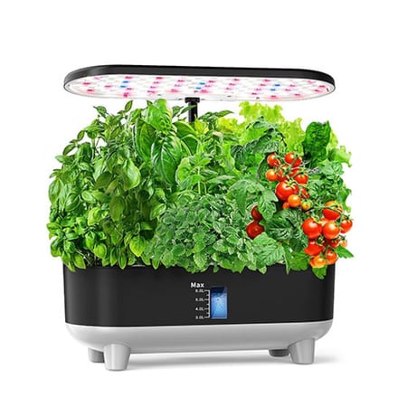 حديقة منزلية ذكية مليئة بنباتات ريحان وخس وطماطم كرزية ونعناع