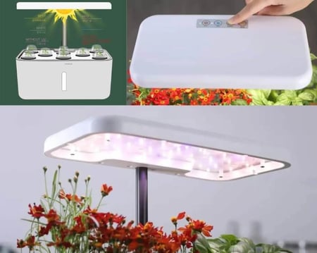 اضاءة جهاز زراعة منزلي مائي hydroponic