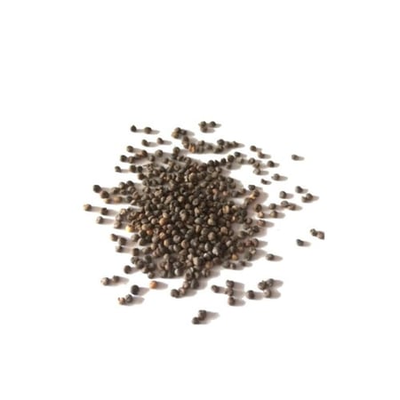 بذور اللوبيليا أزرق كريستالي