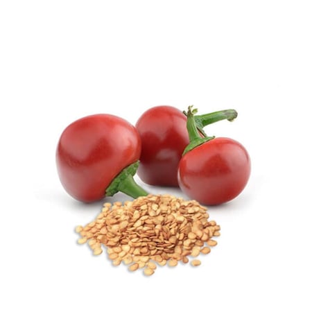 بذور فلفل كرزي احمر سيسليا للزراعة المنزلية