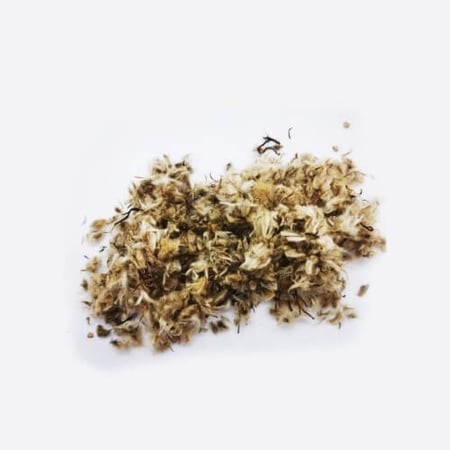 بذور جازانيا مخلوط