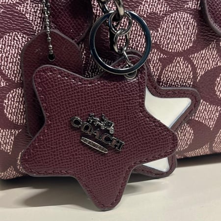 شنطة كوتش روان النجمه