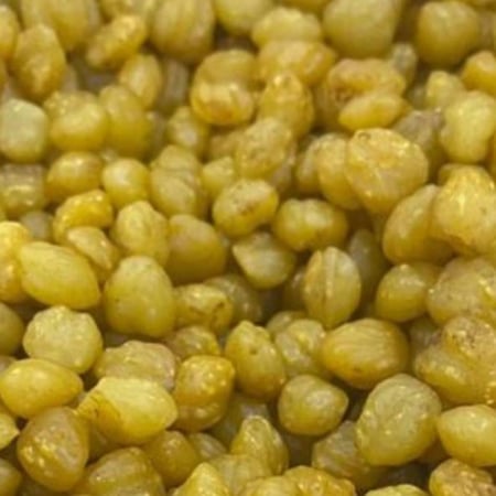 بذور الاكبي