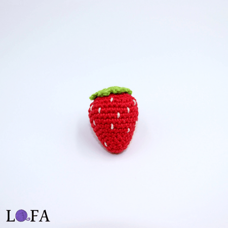 مغناطيس الفواكه