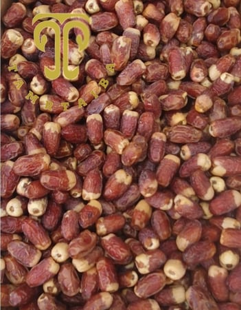 رطب صقعي المدينة المنورة الفاخر (1.5  كيلو) حصاد 1447هـ