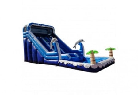 Dolphin water slide 8*4*6m - زحليقة الدلفين المائية