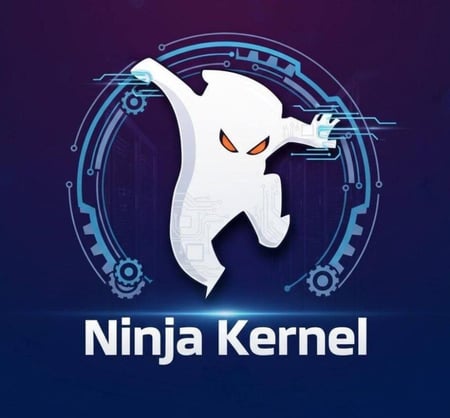 Ninja Kernel Std - 1 Day