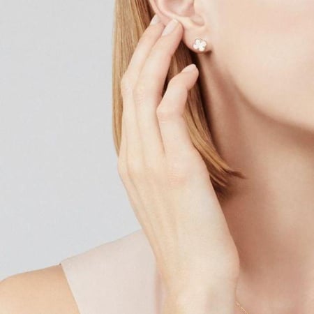 van cleef & arpels مطليه