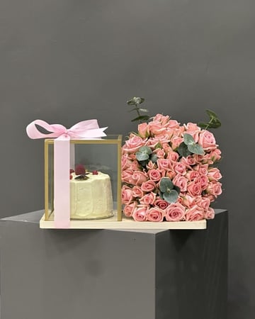 قاعدة كيك كانديرا ١