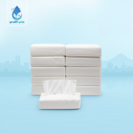 مناديل 10 قطع 300 منديل - شامل التوصيل