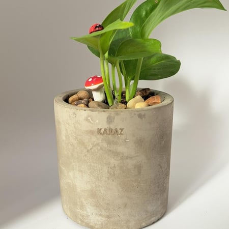 أصيص خرساني - تصميم الاسم 3