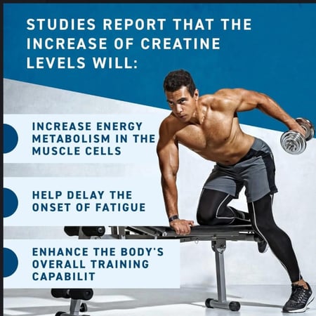 ابلايد نيوترشن كرياتين مونوهيدرات ميكرونيزيد - Applied Nutrition Creatine Monohydrate