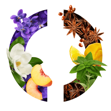 عطر كارون ايميز موي 100مل