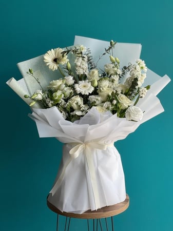 باقة الجلبيرا