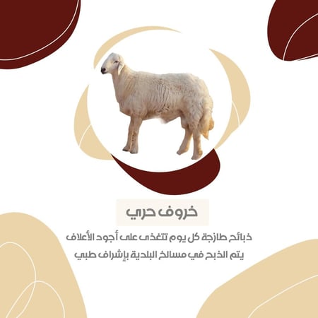 حري 4 - 5شهور سعر عرض