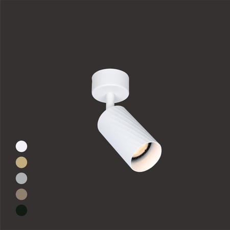 إطار اضاءة أبيض مدور فردي قابل للتوجيه FORS-2-2-W