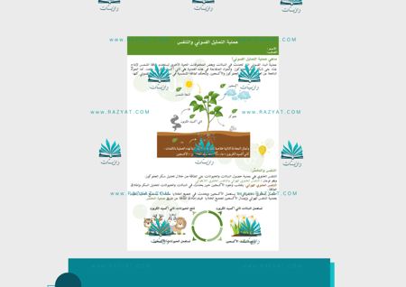 مطوية التمثيل الضوئي وعملية التنفس