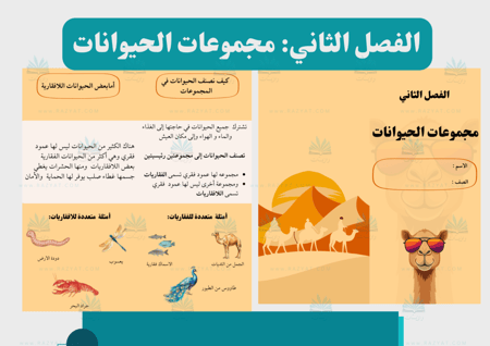 مطوية مجموعات الحيوانات