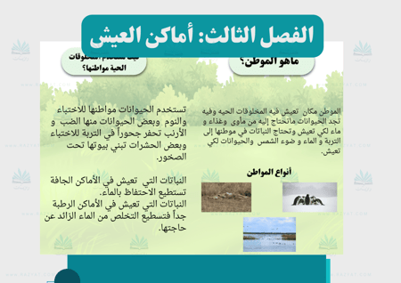 مطوية أماكن العيش