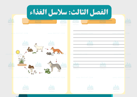 مطوية  سلاسل الغذاء (مفرغة)