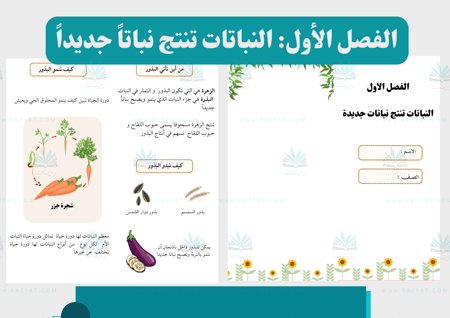 مطوية النباتات تنتج نباتاً جديداً (اقتصادي)