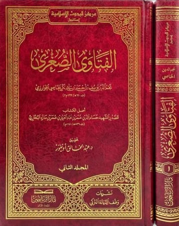 الفتاوي الصغري 2 مجلد