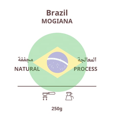 قهوة برازيلي موجيانا - مجففة