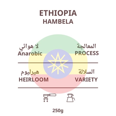 قهوة إثيوبيا هامبيلا - لا هوائي