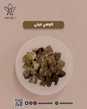 عود لاوسي ميني