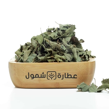 ورق سدر مجفف - فوائد ورق السدر - عطارة شمول