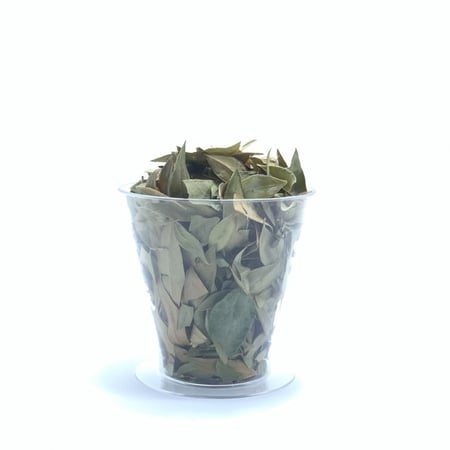 ورق الآس مجفف