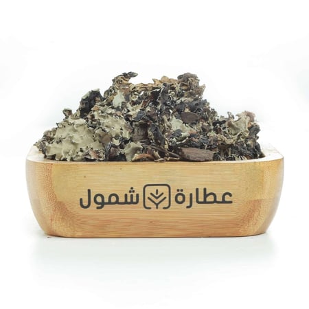 بهار الشيبة