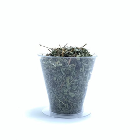 عشبة الوسمة