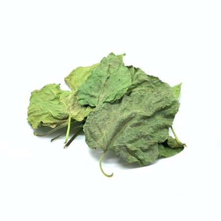 ورق التوت العضوي