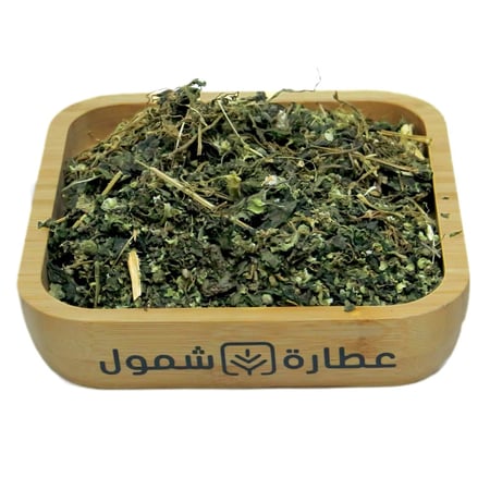 عشبة القراص - متجر عطارة شمول اون لاين السعودية