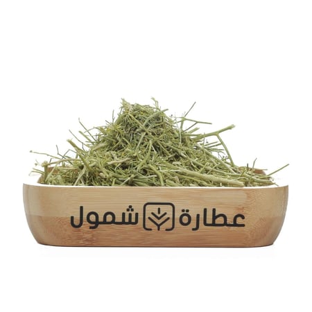 عشبة المدينة - عطارة شمول