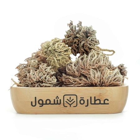 عشبة كف مريم