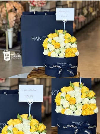 تنسيق شكلت هنوفيرين