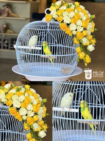 ورد طيور الحب